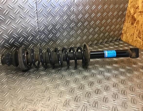 Suspension Strut VW POLO (6N2)