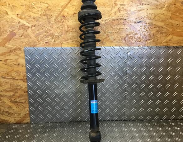 Suspension Strut VW POLO (6N2)