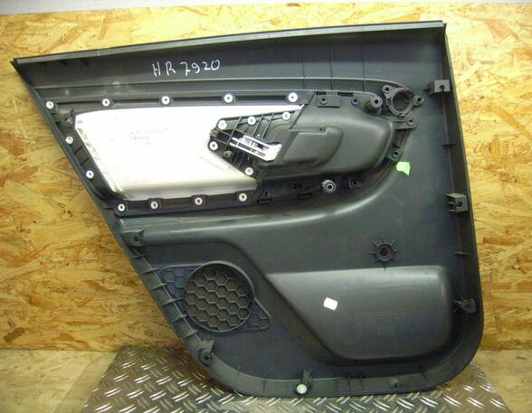 Door Card (Door Panel) SKODA Fabia II Combi (545)