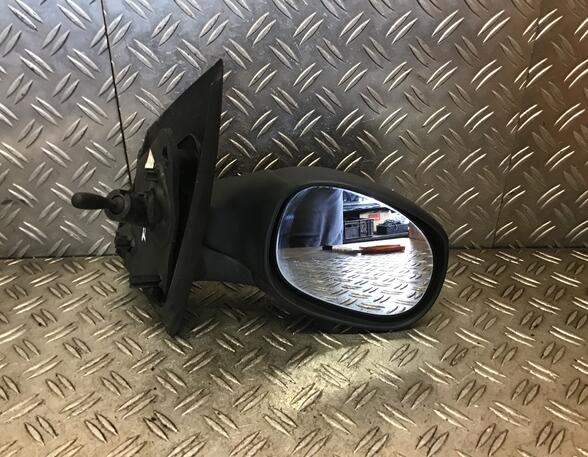 Wing (Door) Mirror CITROËN C2 (JM)