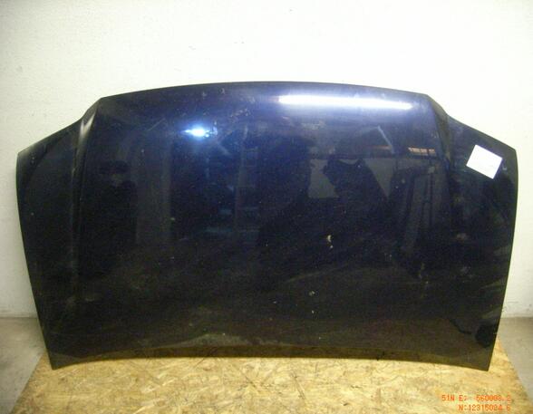 445425 Motorhaube VW Touran (1T1, 1T2)