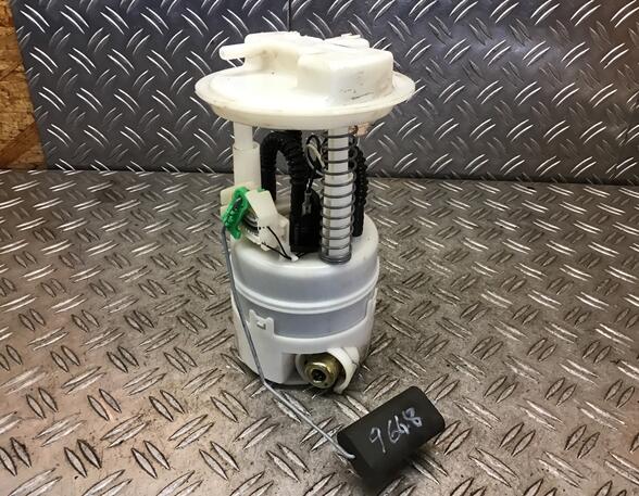 Fuel Pump RENAULT Clio III (BR0/1, CR0/1)