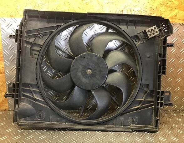 Radiator Electric Fan  Motor DACIA SANDERO II