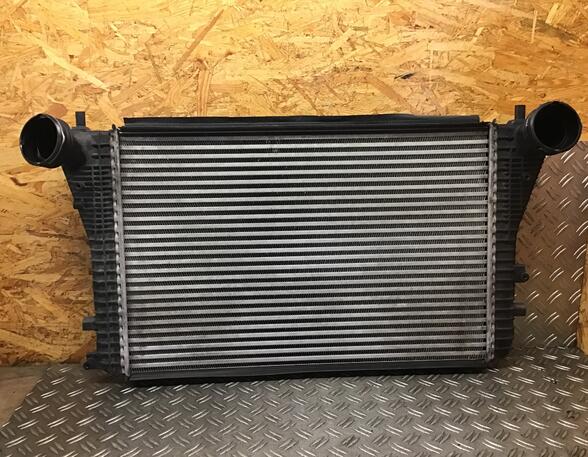 Intercooler AUDI A3 (8P1), AUDI A3 Sportback (8PA), VW GOLF VI (5K1), SEAT LEON (1P1)