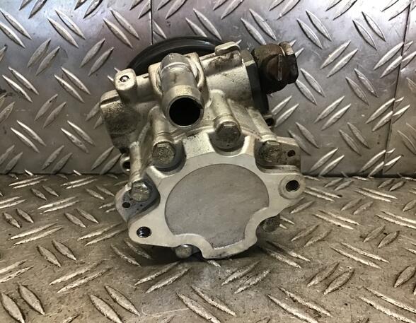 Power steering pump VW POLO (6N2)