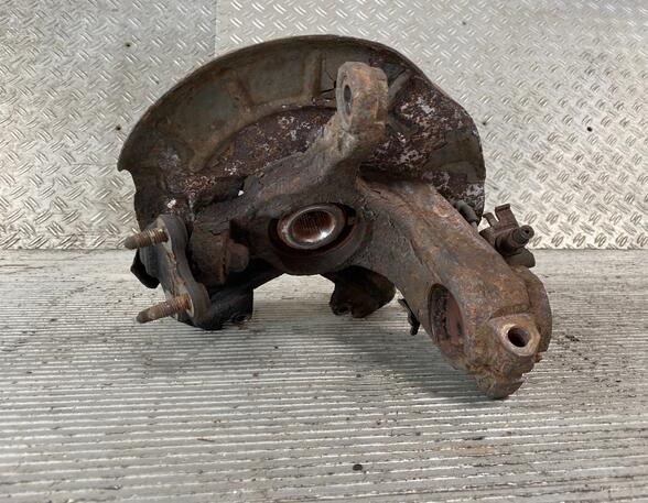 Stub Axle SKODA Fabia II (542)