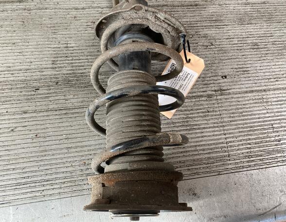 Suspension Strut AUDI A3 (8V1, 8VK)