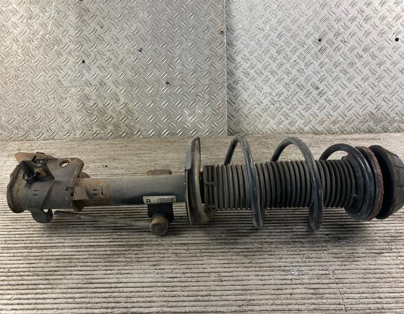 Suspension Strut SUZUKI SWIFT IV (FZ, NZ)