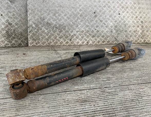 Shock Absorber SKODA Fabia II (542)