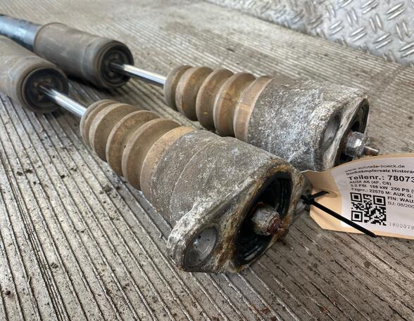 Shock Absorber AUDI A6 (4F2, C6), AUDI A6 Avant (4F5, C6), AUDI A6 Allroad (4FH, C6)