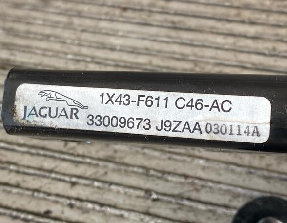 Safety Belts JAGUAR X-Type (CF1)