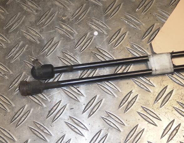 Gas Spring PEUGEOT 406 (8B)