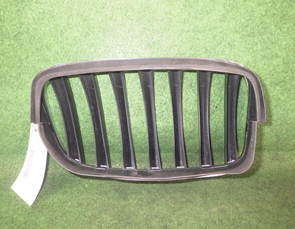 Radiateurgrille BMW X5 (E70), BMW X3 (F25), BMW X5 (F15, F85)