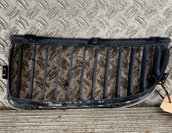 Radiator Grille BMW 3 Touring (E91), BMW 3 (E90)