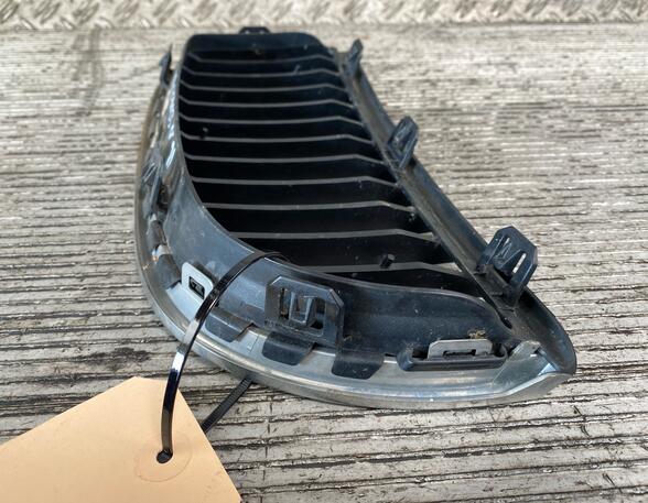 Radiator Grille BMW 3 Touring (E91), BMW 3 (E90)