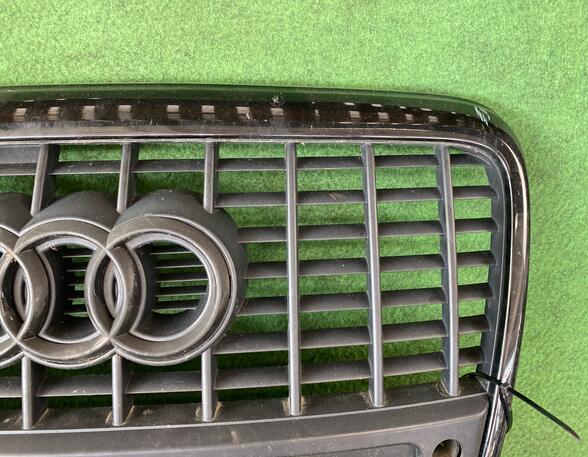 Radiator Grille AUDI A6 (4F2, C6), AUDI A6 Avant (4F5, C6), AUDI A6 Allroad (4FH, C6)