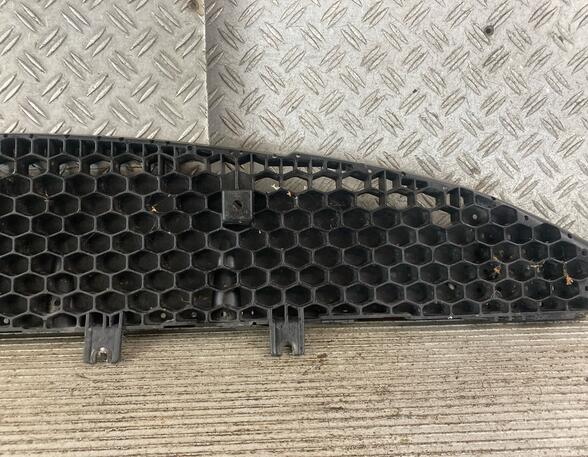 Radiator Grille KIA CEE'D Hatchback (ED), KIA CEE'D SW (ED), KIA PRO CEE'D (ED)