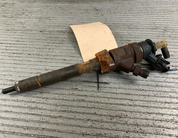 Injector Nozzle PEUGEOT 207 (WA, WC)