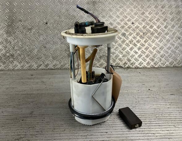 Fuel Pump VW Golf Plus (521, 5M1)