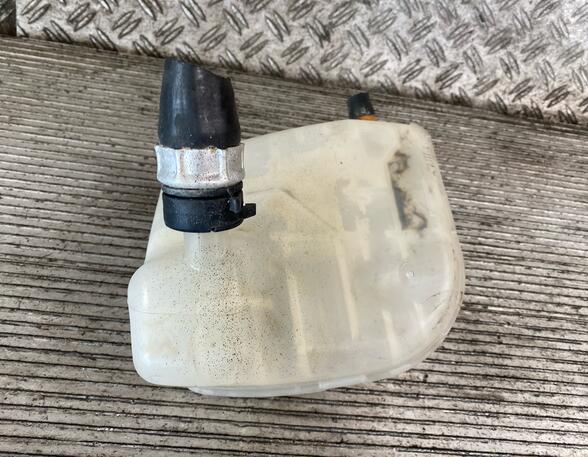 Coolant Expansion Tank RENAULT TWINGO II (CN0_)