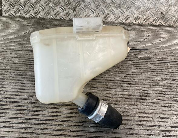 Coolant Expansion Tank RENAULT TWINGO II (CN0_)