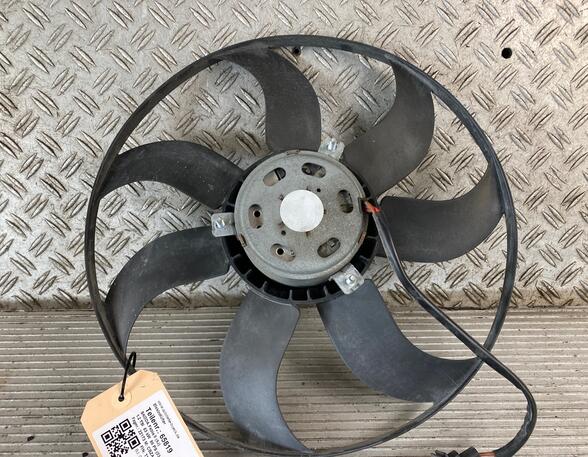 Radiator Electric Fan  Motor SKODA Fabia II (542)