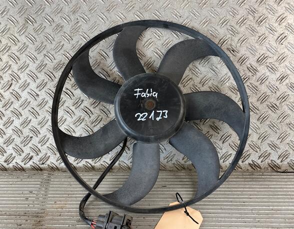 Radiator Electric Fan  Motor SKODA Fabia II (542)