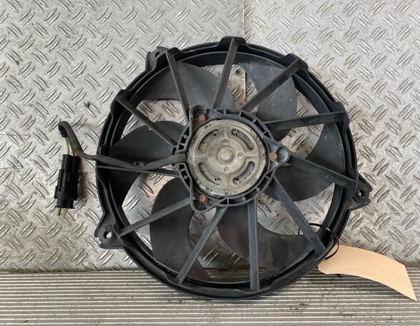 Radiator Electric Fan  Motor FIAT ULYSSE (179_), LANCIA PHEDRA (179_)