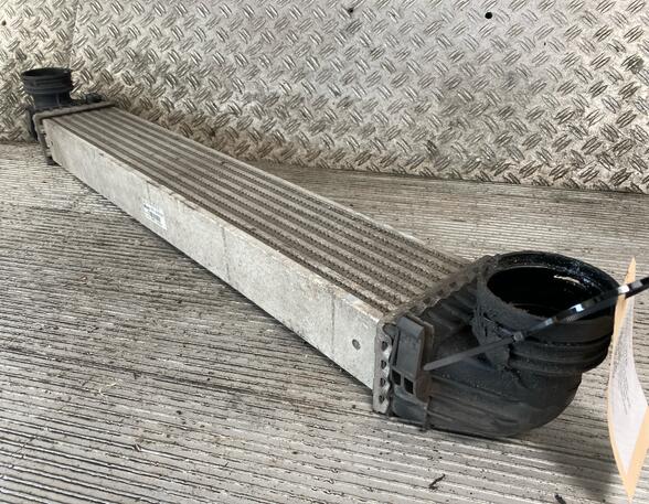 Intercooler MERCEDES-BENZ A-Klasse (W169)