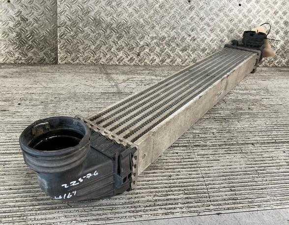 Intercooler MERCEDES-BENZ A-Klasse (W169)