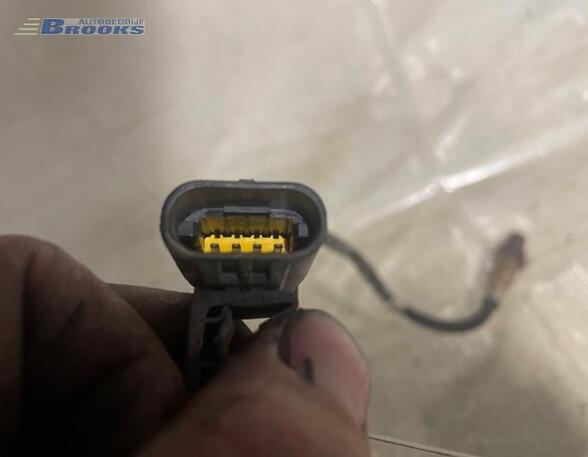 Lambdasonde / NOx Sensor RENAULT KANGOO (KC0/1_)