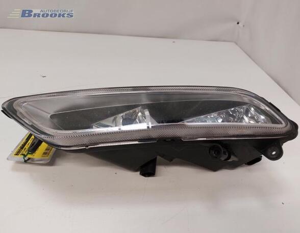 Fog Light VW PASSAT (362)