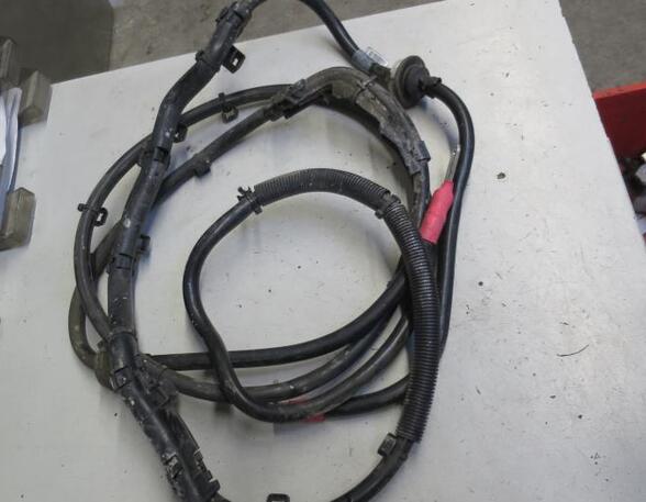 Wiring Harness AUDI A4 Avant (8K5, B8)