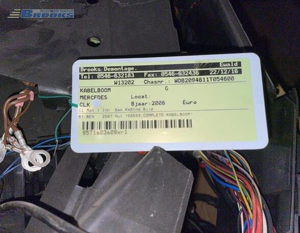 Wiring Harness MERCEDES-BENZ CLK Convertible (A209)