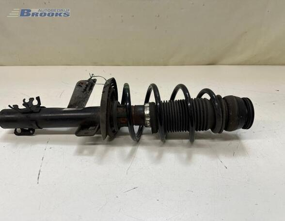 Suspension Strut VW POLO (6R1, 6C1), VW POLO Van (6R)