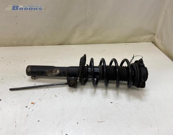 Suspension Strut VW PASSAT ALLTRACK B7 (365), VW PASSAT B7 Variant (365)