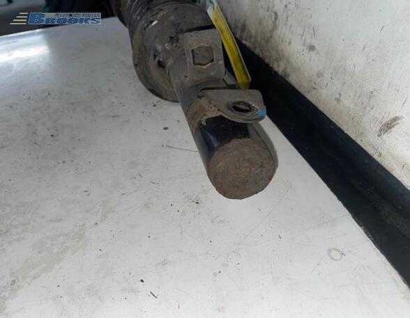 Suspension Strut SUBARU JUSTY I (KAD)