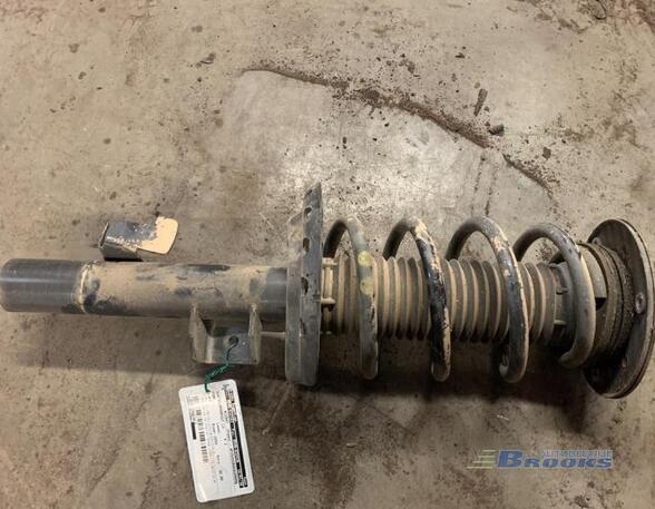 Suspension Strut FORD GALAXY (WA6), FORD S-MAX (WA6)