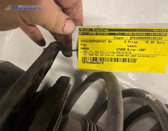 Suspension Strut FIAT MAREA Weekend (185_)