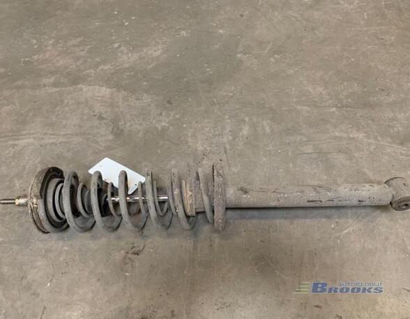 Suspension Strut VW VENTO (1H2)