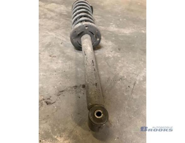 Suspension Strut VW VENTO (1H2)