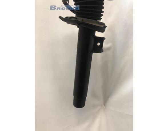 Suspension Strut BMW 3 (F30, F80)