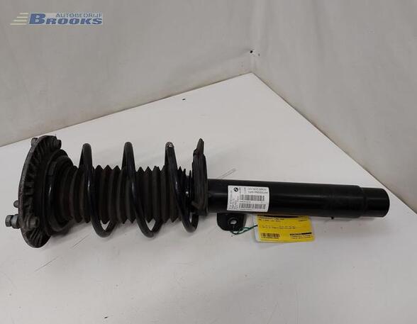 Suspension Strut BMW 1 (F20), BMW 3 Touring (F31)