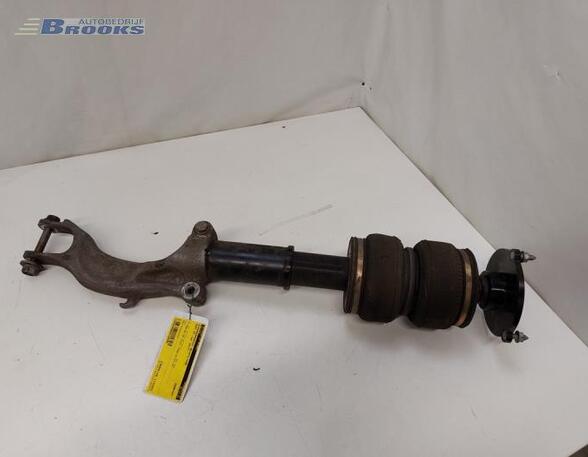 Suspension Strut AUDI A5 (F53, F5P)