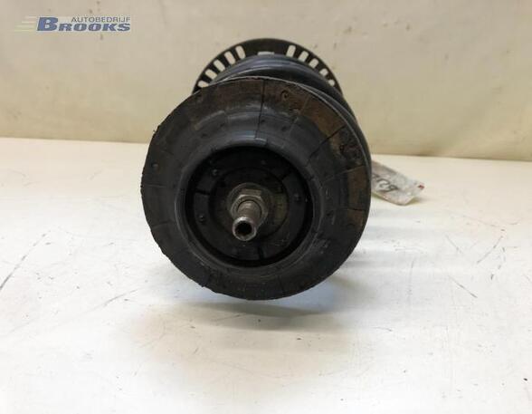 Suspension Strut VW TRANSPORTER V Van (7HA, 7HH, 7EA, 7EH)