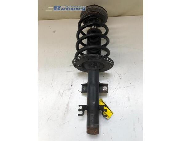 Suspension Strut VW TRANSPORTER V Van (7HA, 7HH, 7EA, 7EH)