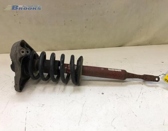 Suspension Strut AUDI A4 Avant (8E5, B6), AUDI A4 Avant (8ED, B7)