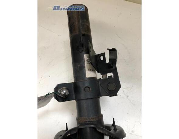 Suspension Strut FORD TRANSIT Bus (FD_ _, FB_ _, FS_ _, FZ_ _, FC_ _), FORD TRANSIT V363 Bus (FAD, FBD)