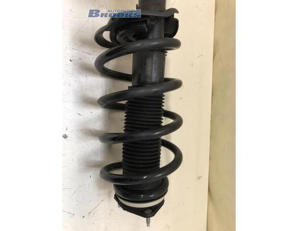 Suspension Strut FORD TRANSIT Bus (FD_ _, FB_ _, FS_ _, FZ_ _, FC_ _), FORD TRANSIT V363 Bus (FAD, FBD)