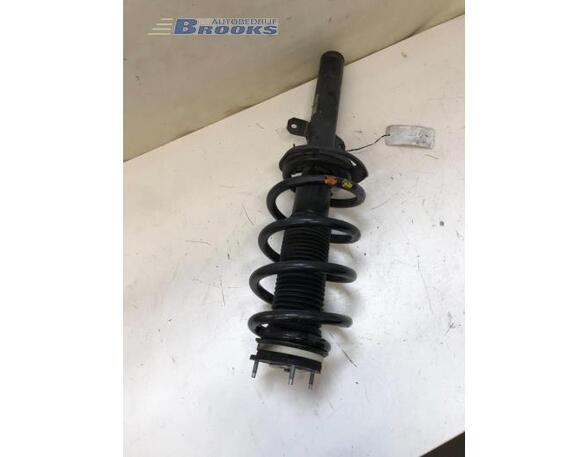 Suspension Strut FORD TRANSIT Bus (FD_ _, FB_ _, FS_ _, FZ_ _, FC_ _), FORD TRANSIT V363 Bus (FAD, FBD)